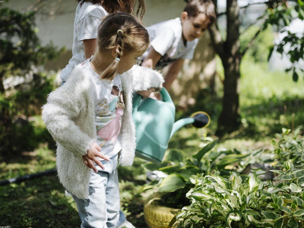 យុទ្ធសាស្ត្រសម្រាប់ការលេង: ការបញ្ចូលសកម្មភាពលេងក្នុងជីវិតប្រចាំថ្ងៃ